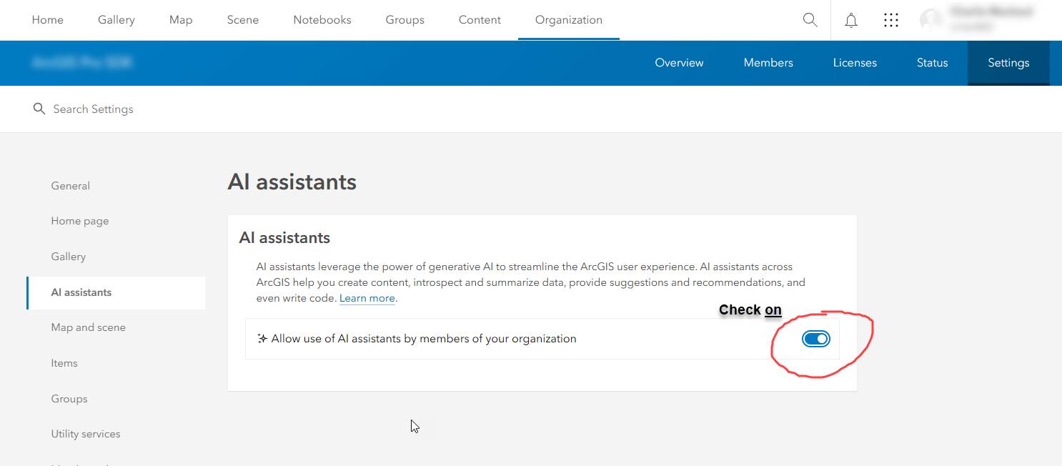 Pro Assistant Enable in Online ProAssistantEnableOnline